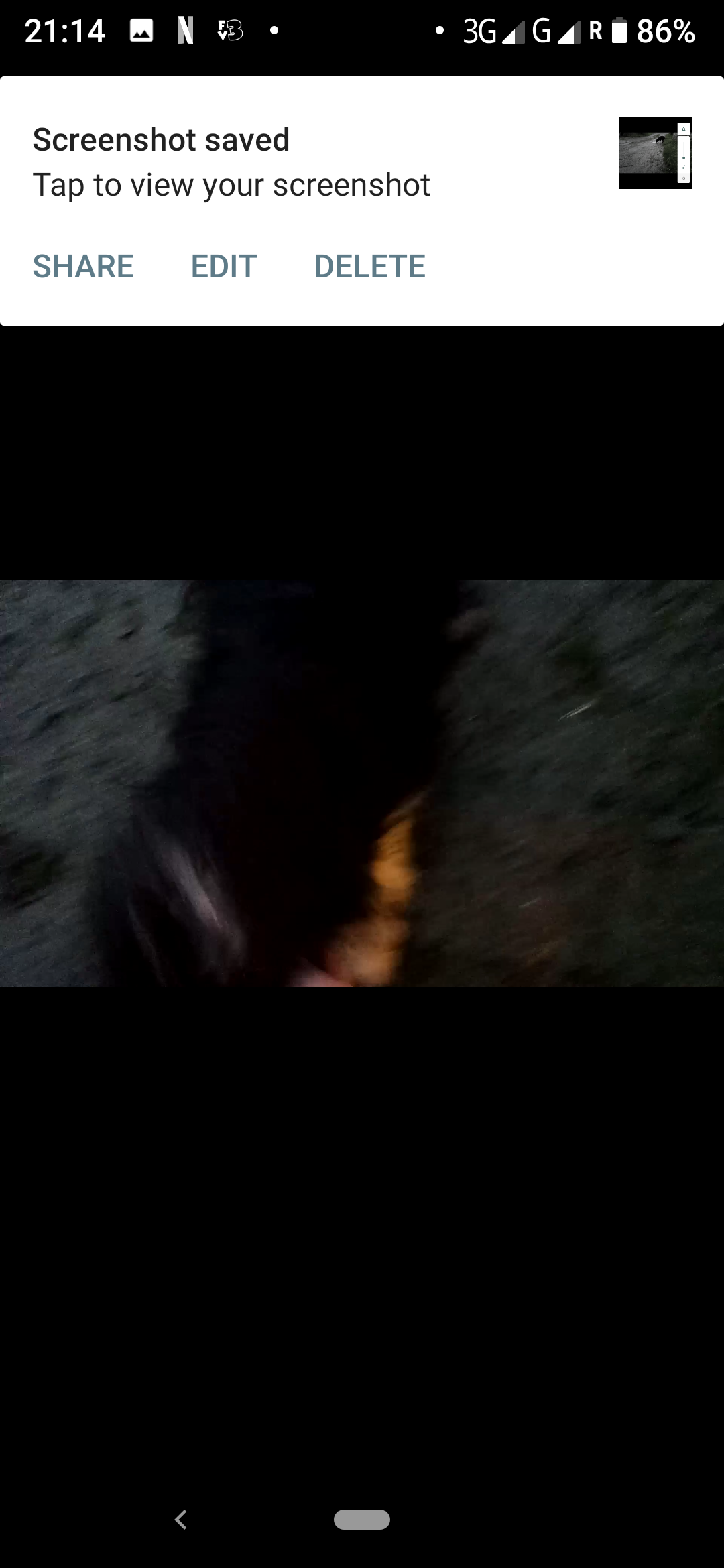 Dog Image
