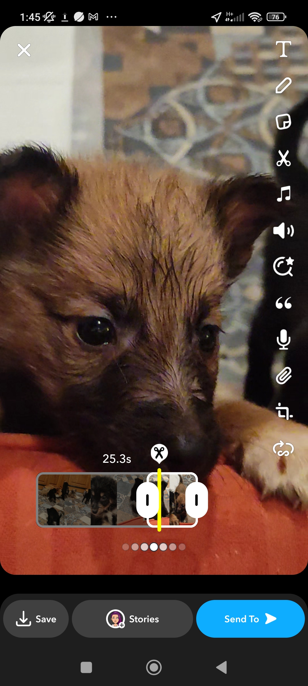 Dog Image