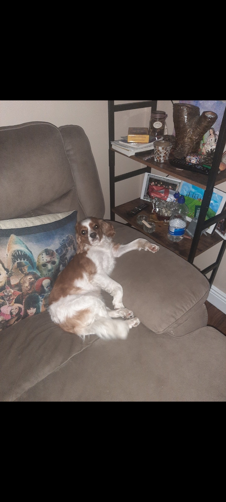 Dog Image