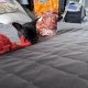 Russian Toy Terrier Puppy in Navan