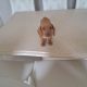 Miniature Daschunds